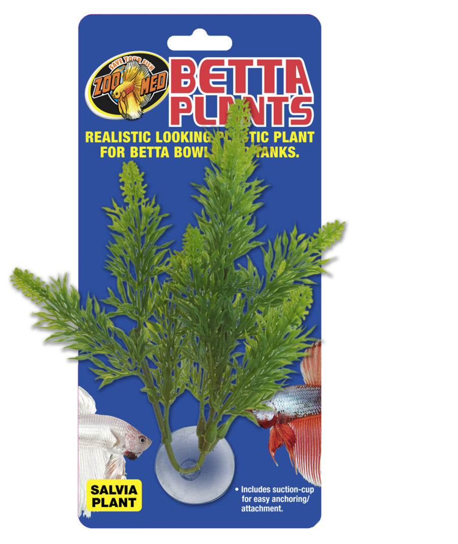 Zoo Med Betta Plant Salvia Green, 1ea