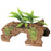 Marina Naturals Malaysian 1/2 Log Driftwood with Plants - Large - 25.4 x 16.5 x 10.2 cm (10 x 6.5 x 4 in)