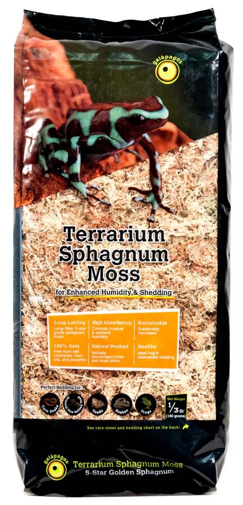 Galapagos Reptile Gear Moss Mushroom Terrarium Décor 11 in