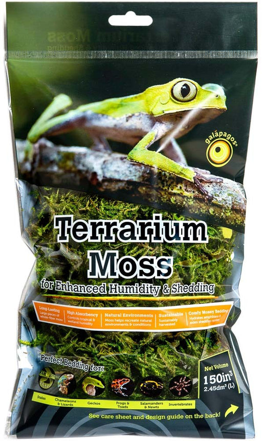 Live Terrarium Moss for Reptiles