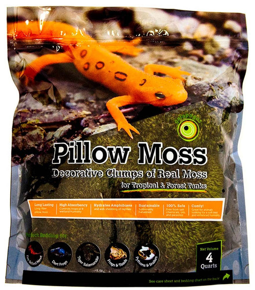 Premium Preserved Clump Moss - Small Pieces (1 lb)