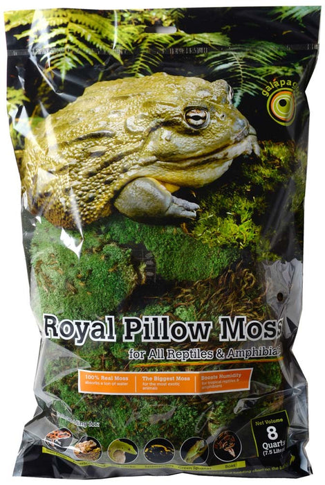 Galapagos Royal Pillow Moss, 8qt