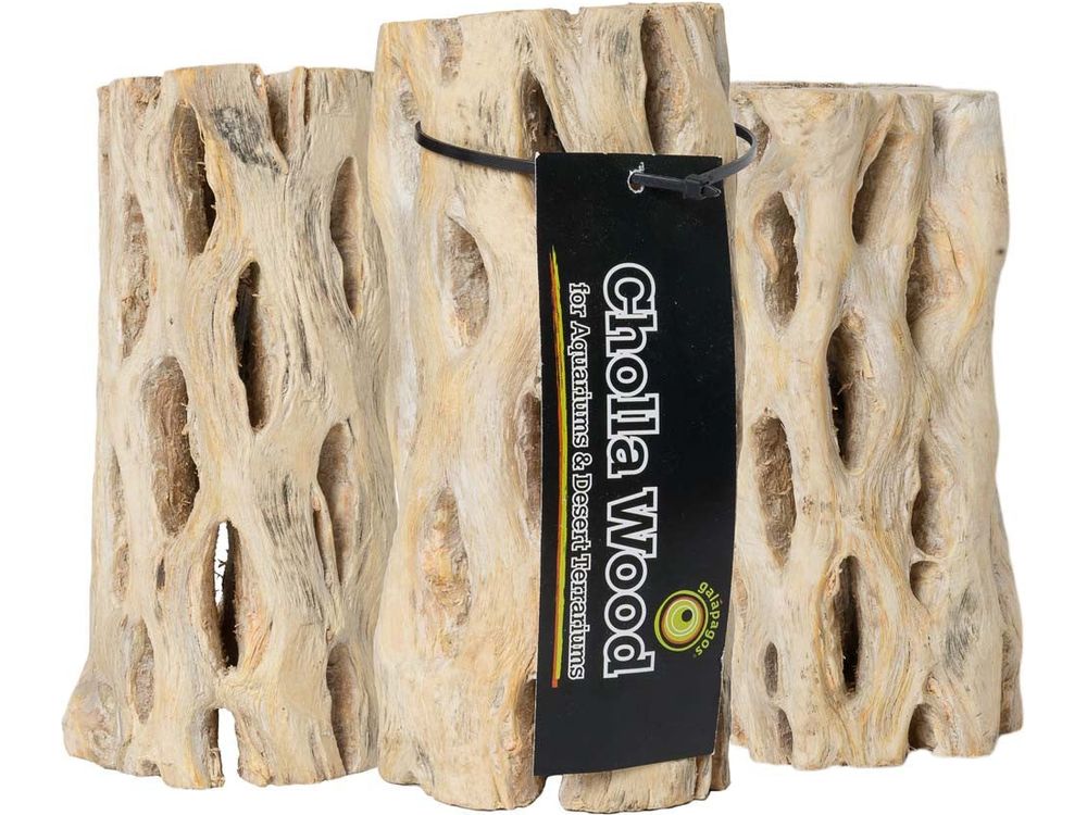 Galapagos Cholla Wood, 6" (3 pack)