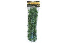 Zoo Med Mexican Phyllo Plant, Large