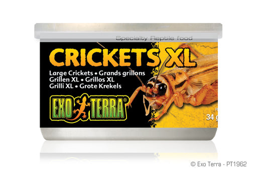 Exo Terra Canned Crickets - XL