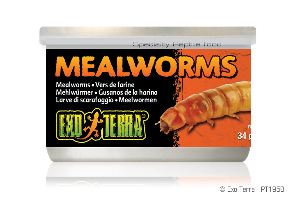 Exo Terra Canned Mealworms