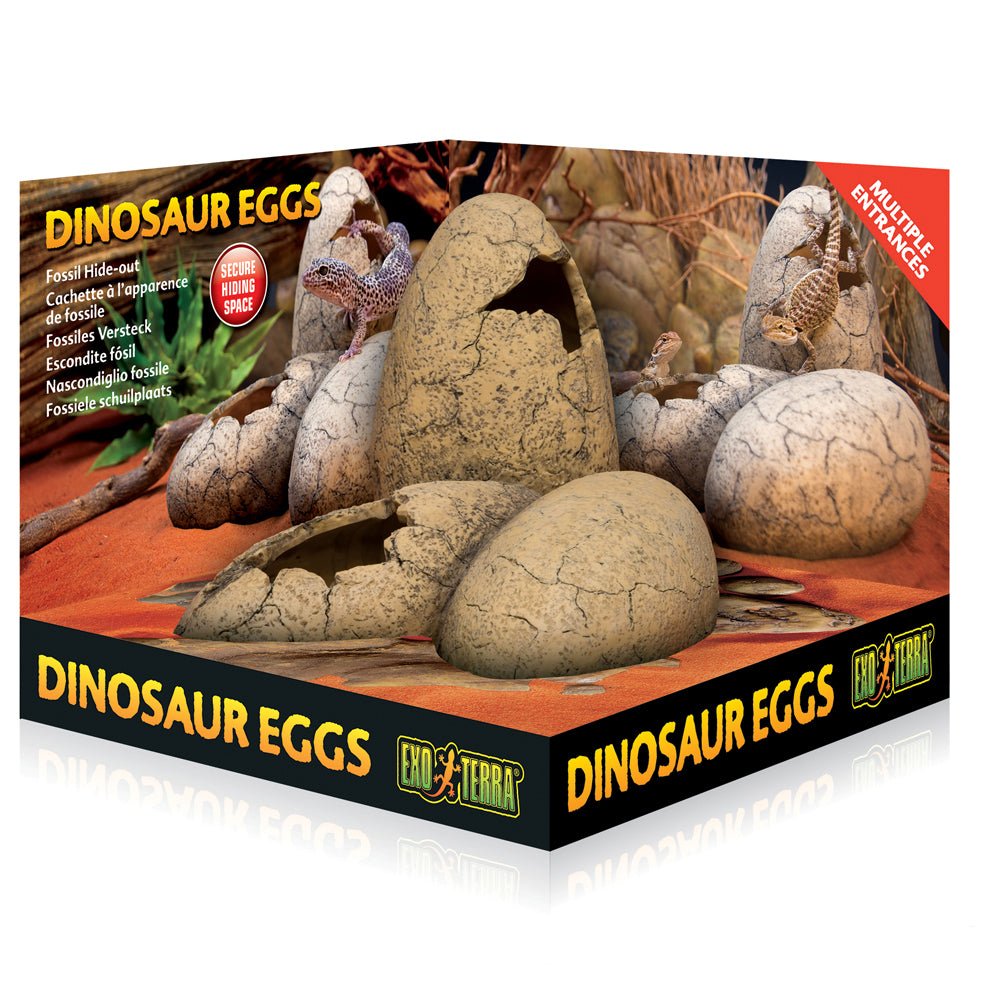 Exo Terra Dinosaur Eggs Fossil Hideout, Large