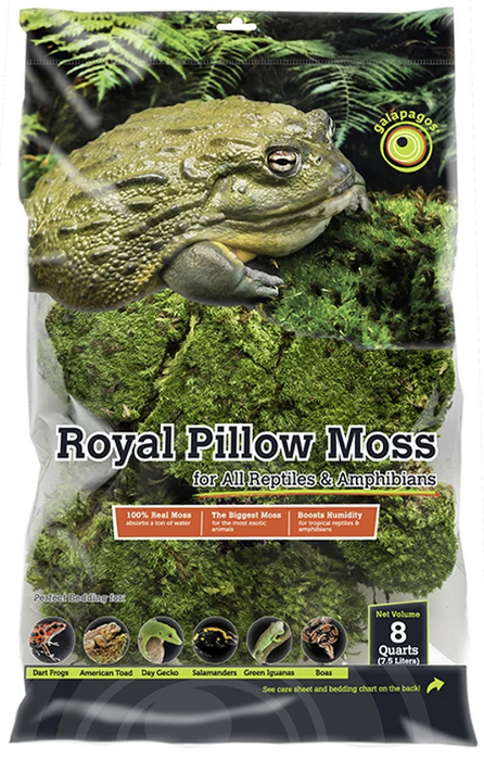 Galapagos Royal Pillow Moss, 150 in³