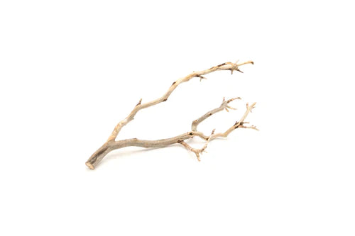UNS Manzanita Driftwood - Medium (10-15")