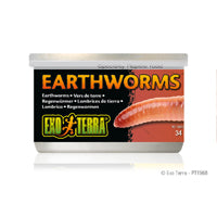 Exo Terra Earthworms