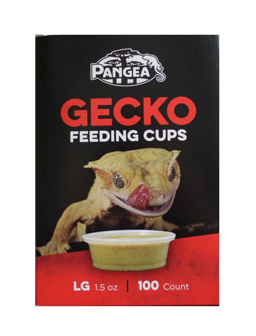 Pangea Large Gecko Feeding Cups - 100ct