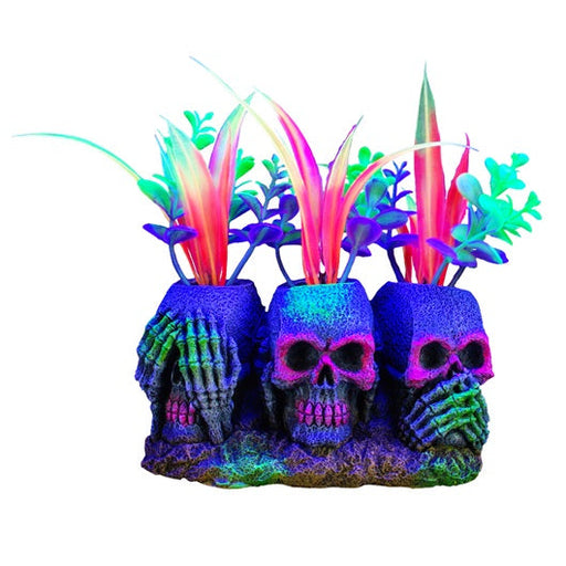 Marina iGlo Skulls with Plants Small