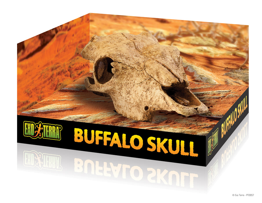 Exo Terra Buffalo Skull, Large