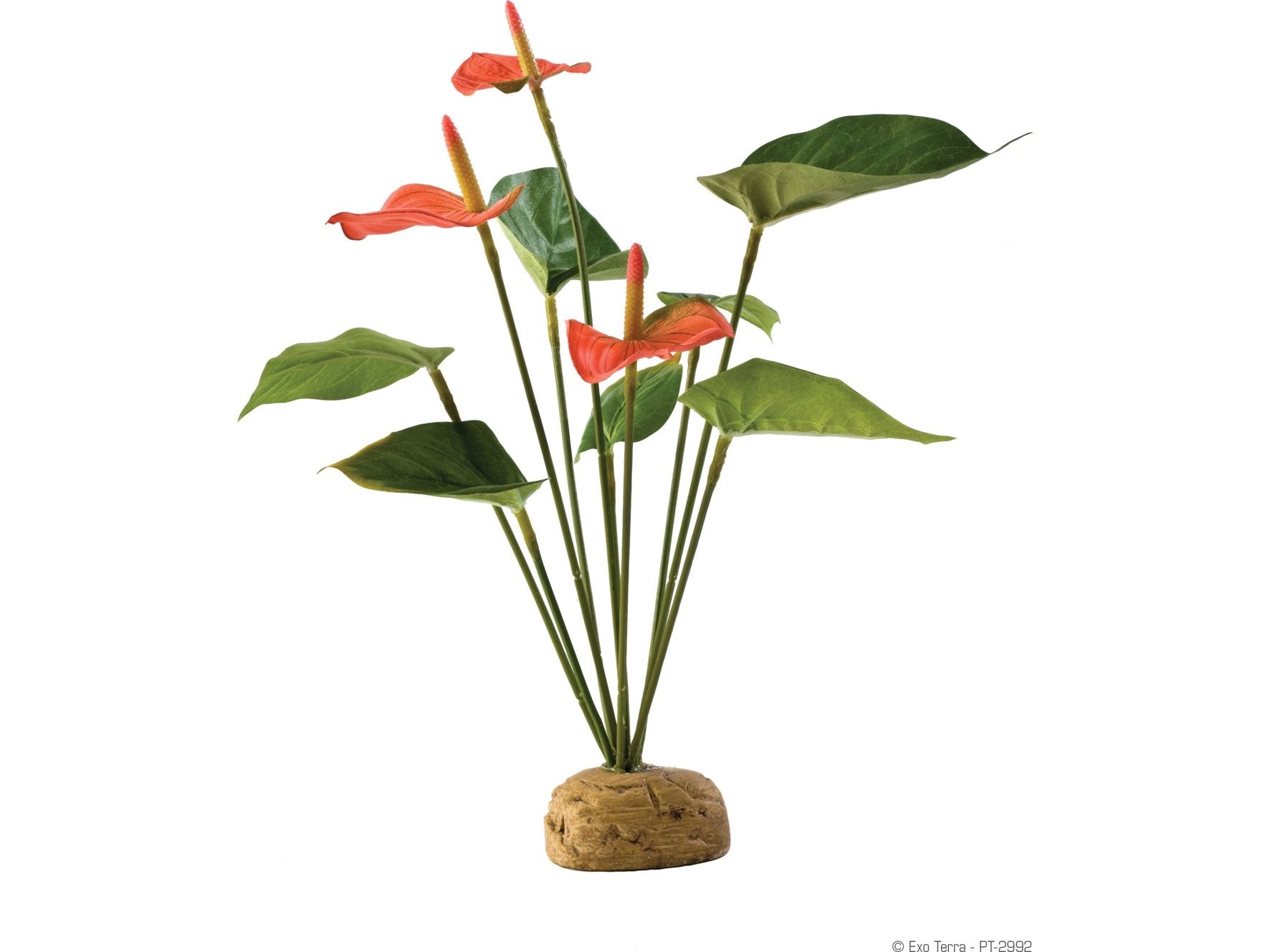 Exo Terra Anthurium Bush