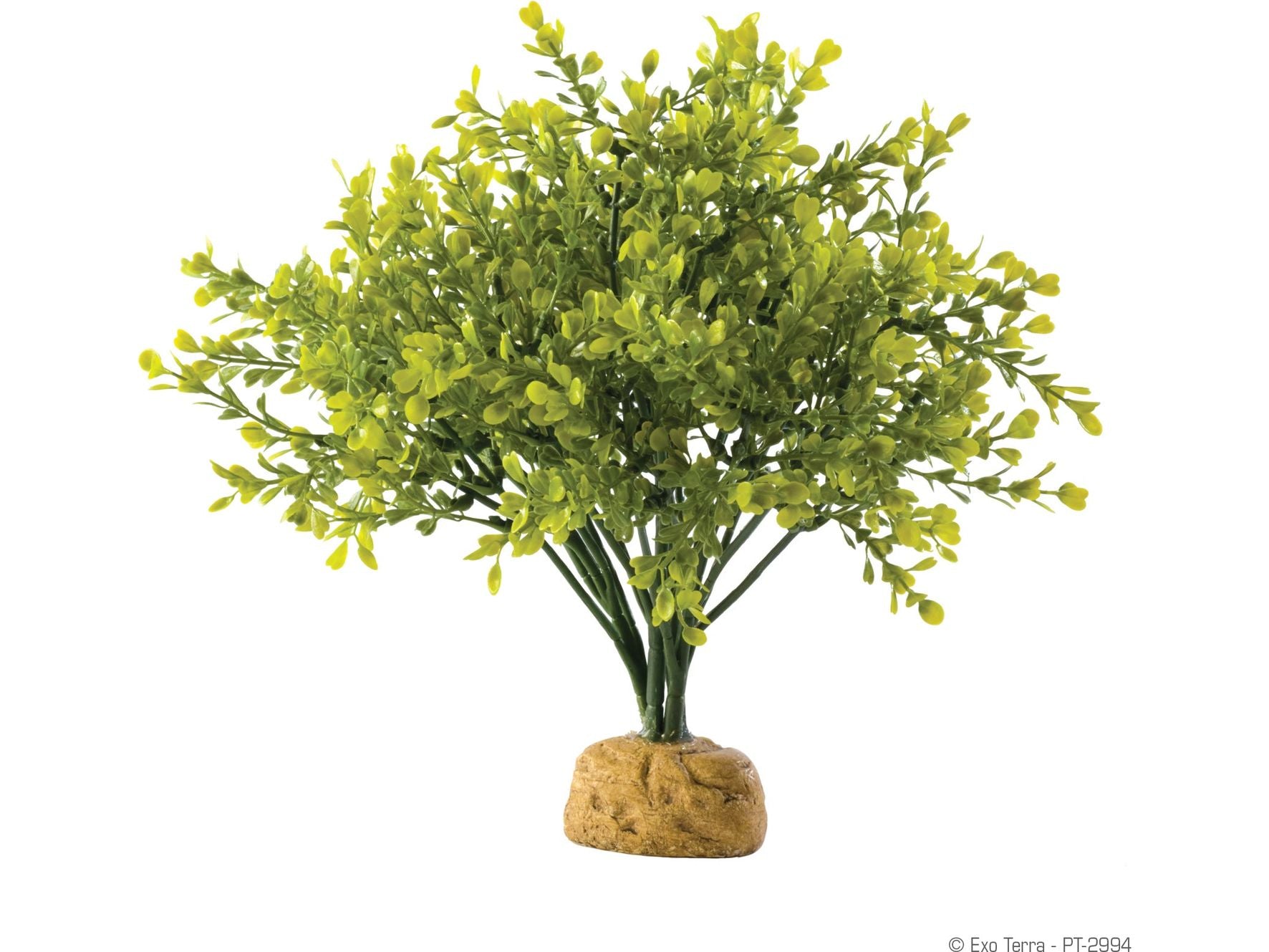 Exo Terra Boxwood Bush