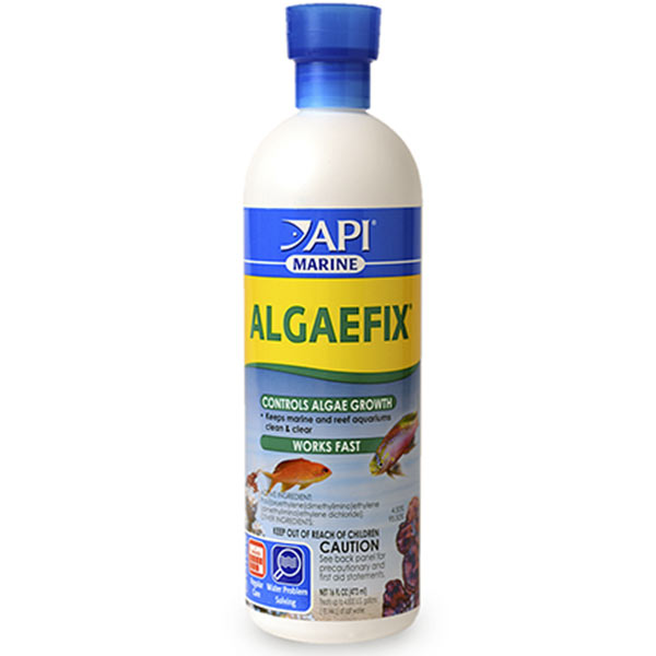 API Trtmnt Algaefix Marine 16oz