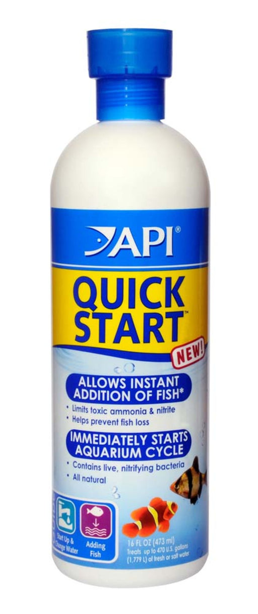 API Quick Start
