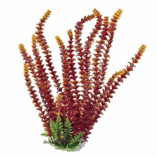 Aquatop Cabomba Aquarium Plant with Weighted Base Fire 16in (ATP plnt cabomba rust/or 16in)