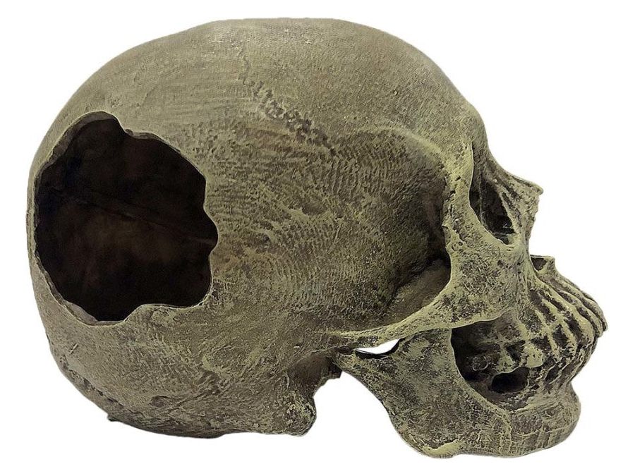 Komodo Full Human Skull Reptile Hideout Gray One Size