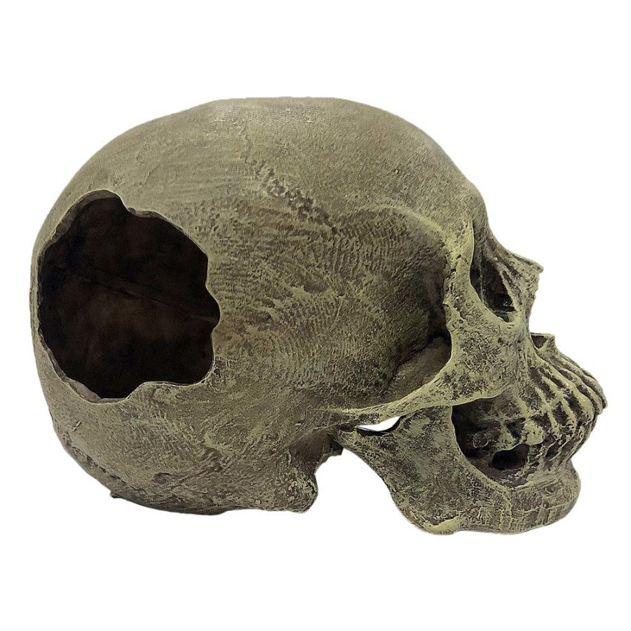 Komodo Full Human Skull Reptile Hideout Gray One Size