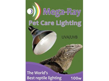 Mega-Ray Mercury Vapor Bulb, 100w