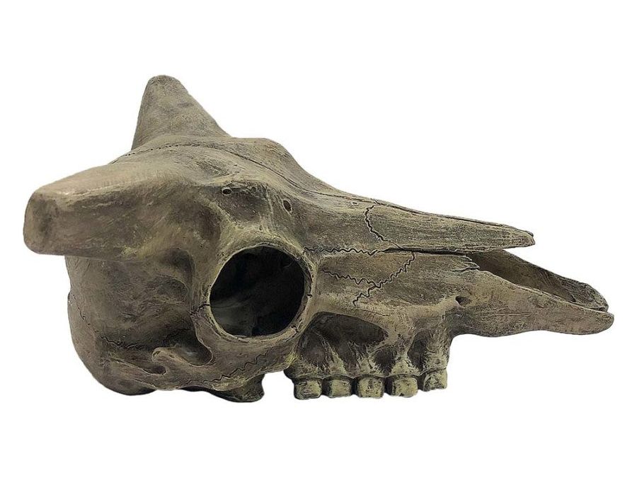 Komodo Deer Skull Reptile Hideout Gray One Size