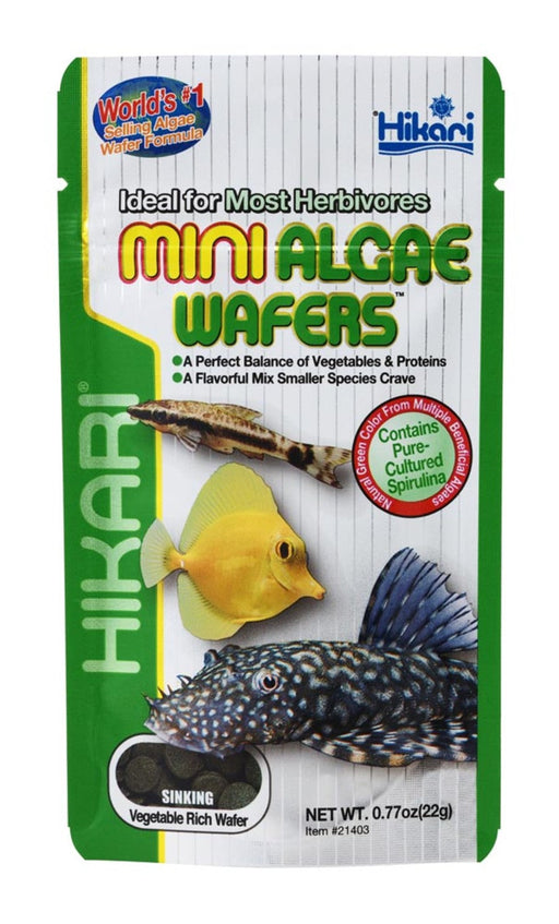 Hikari Mini Algae Wafers Sinking Wafer Fish Food 0.77 oz