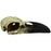 Komodo Raven Skull Hideout LRG