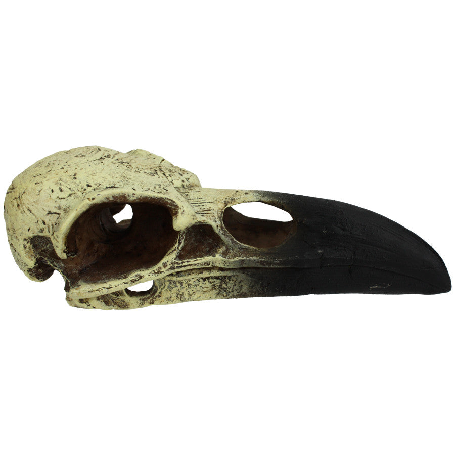 Komodo Raven Skull Hideout MED