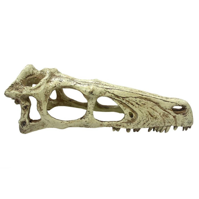 Komodo Raptor Skull Reptile Hideout Tan XL