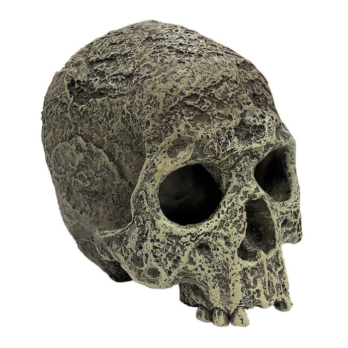 Komodo Textured Human Skull Reptile Hideout Gray One Size